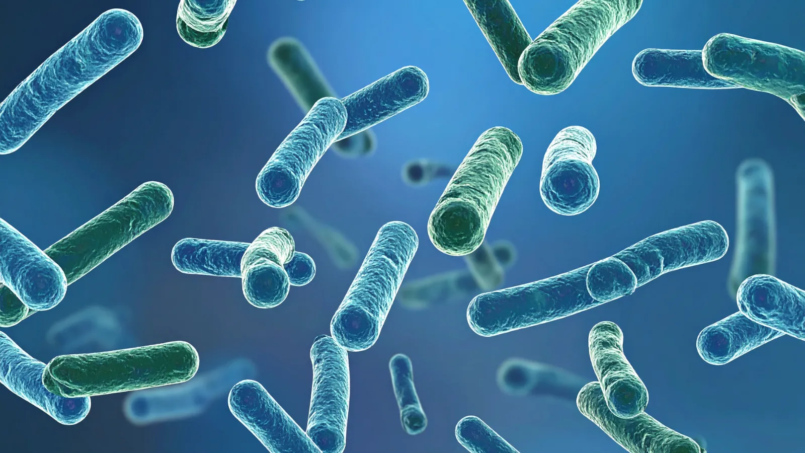 Are Prebiotics Halal?